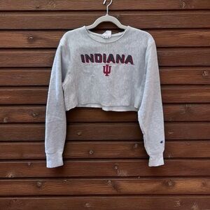 Champion Heather Gray Indiana Crop Top